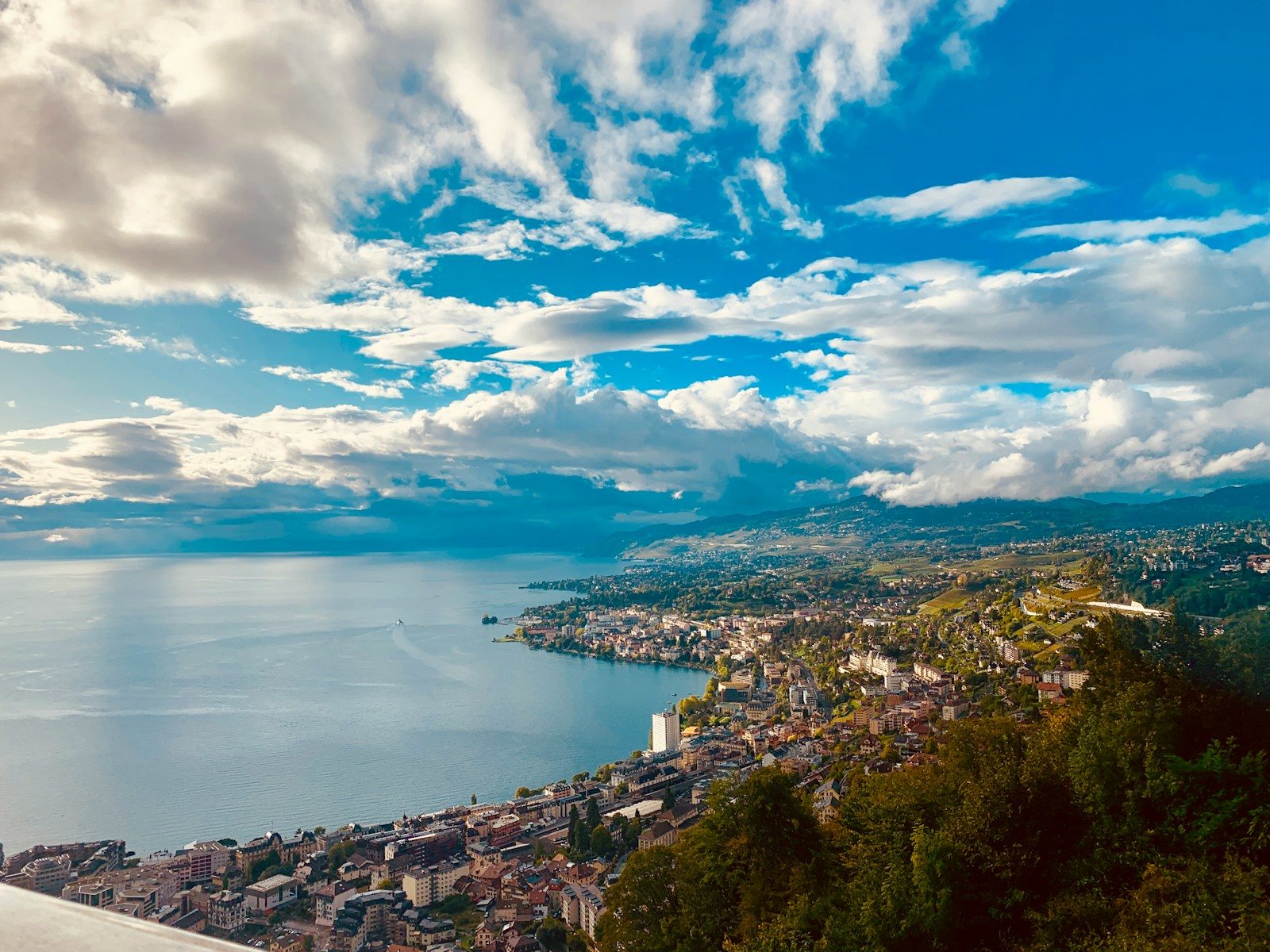 aerial view of city near body of water during daytime