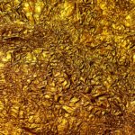 brown dried leaves on ground